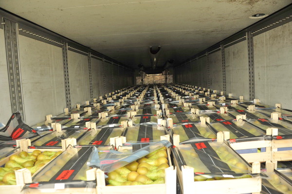 Смоленские таможенники задержали 80 тонн польских фруктов и овощей