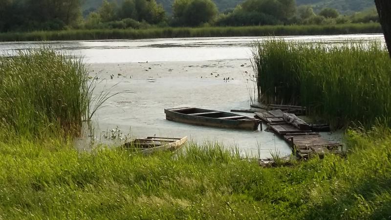 Воронежские активисты ОНФ добились возвращения в госсобственность земель с природными озерами