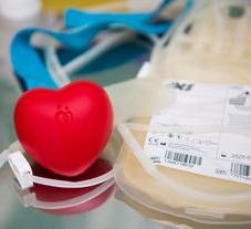 Представители более 40 регионов приняли участие в VI Всероссийском съезде менеджеров по пропаганде Службы крови и участников донорского движения