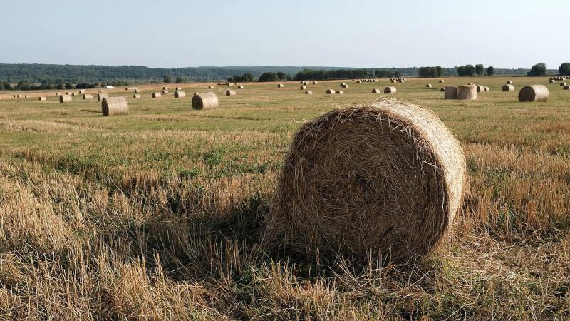 В «Единой России» настаивают на увеличении федерального финансирования госпрограммы развития сельских территорий