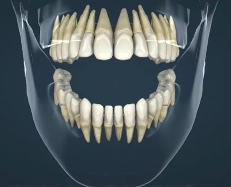 Интересные факты про зубы