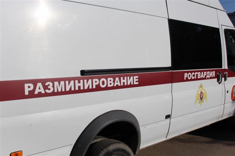 В Мурманской области взрывотехники Росгвардии обследовали противотанковую мину