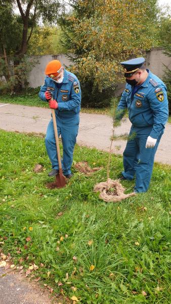 Зеленоградские пожарные присоединились к общероссийской акции «Зеленая Россия»