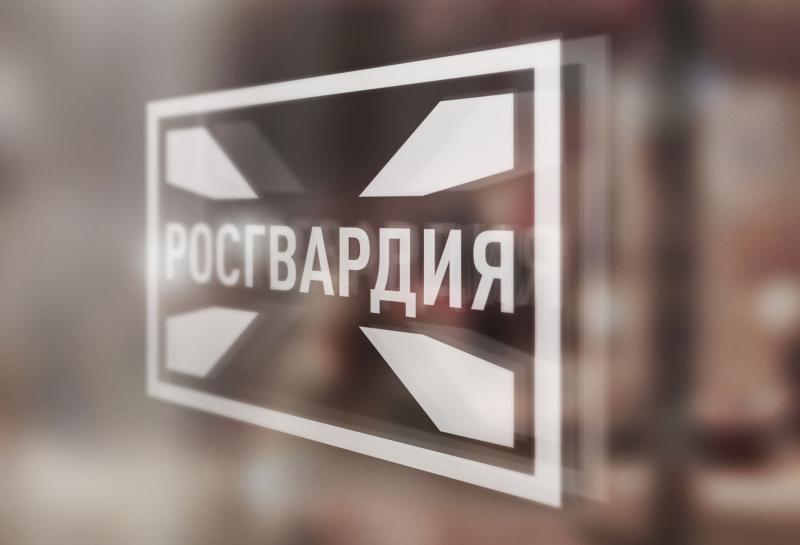 В Челябинске росгвардейцы задержали подозреваемую в повреждении чужого автомобиля