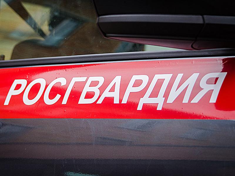 В Пскове росгвардейцы задержали гражданку, подозреваемую в хищении