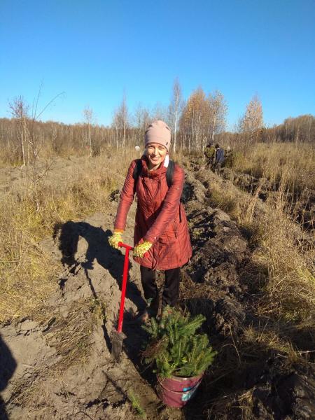 В рамках федерального проекта «Сохраним лес» высажено 40 000 елей в Новосибирской области