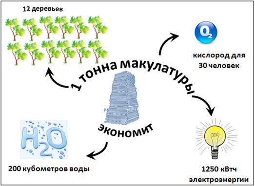 Сохранить природу поможет масштабный сбор макулатуры