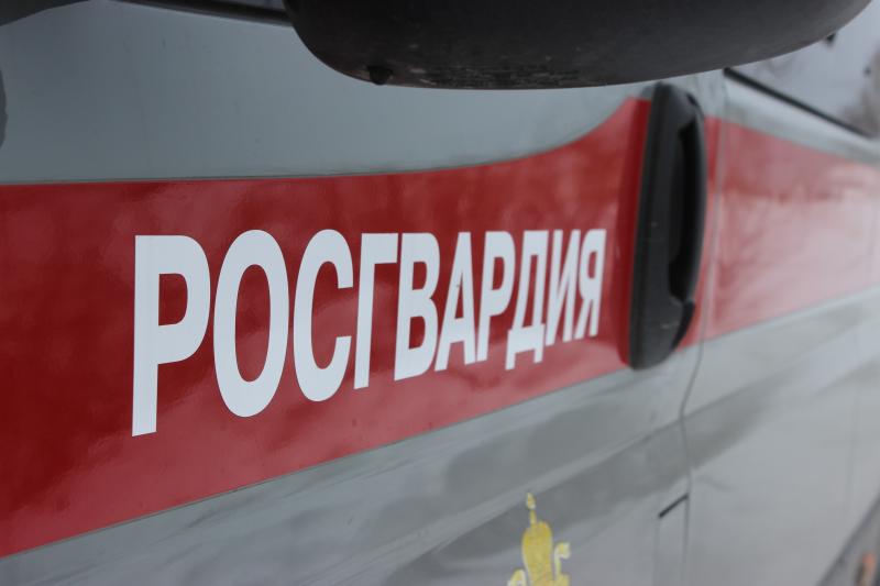 За минувшие выходные сотрудники вневедомственной охраны Челябинска задержали двух подозреваемых в различных преступлениях