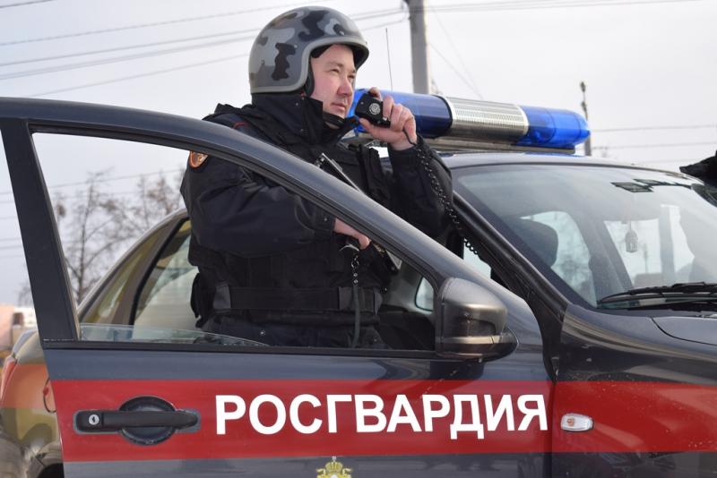 За минувшие праздники сотрудники вневедомственной охраны Челябинска задержали двоих подозреваемых в различных преступлениях