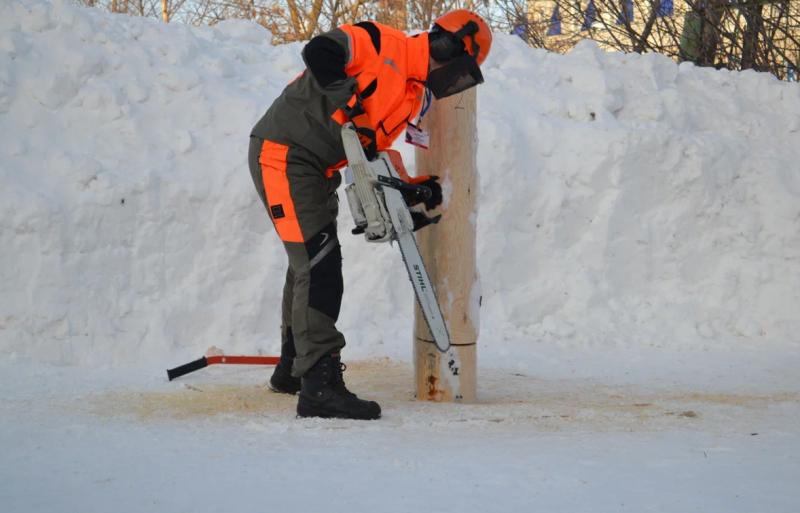 Компания STIHL поддержала чемпионат «Вальщик леса» по правилам Worldskills Russia в Марий Эл