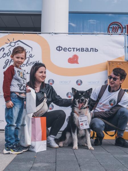 Первый в Москве dog-friendly фестиваль «Собаки, друзья и человеки»
с успехом прошел в Солнцево в минувшее воскресенье.