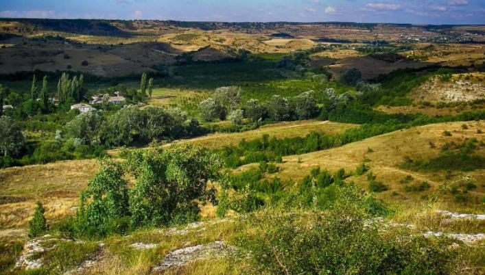 Днепровская вода возрождает сельское хозяйство Крыма