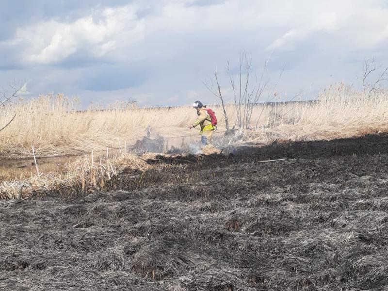 Пожарные ГКУ МО «Мособлпожспас» потушили 78 очагов пала травы за неделю