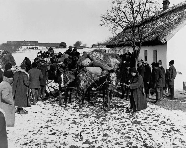 Мнение ученого: Раскулачивание в СССР в 1929-1933 годах было политикой раскрестьянивания