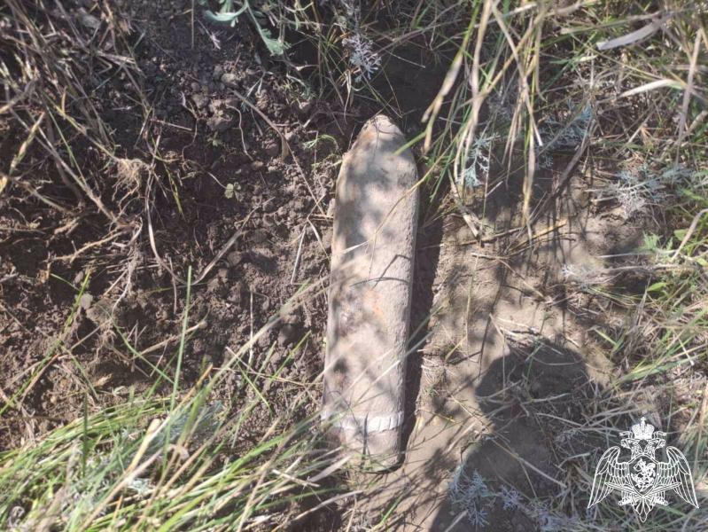 В Саратовской области взрывотехниками Росгвардии обследован и уничтожен найденный боеприпас