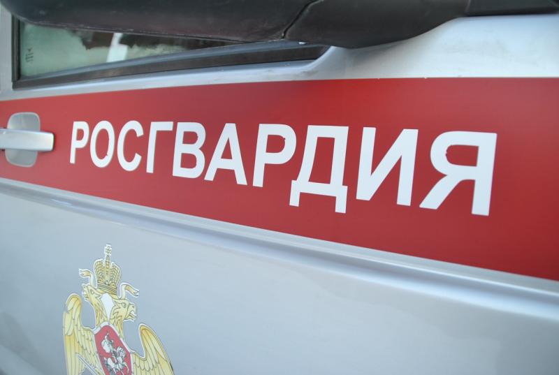 В Кирове росгвардейцы задержали подозреваемых в краже алкоголя