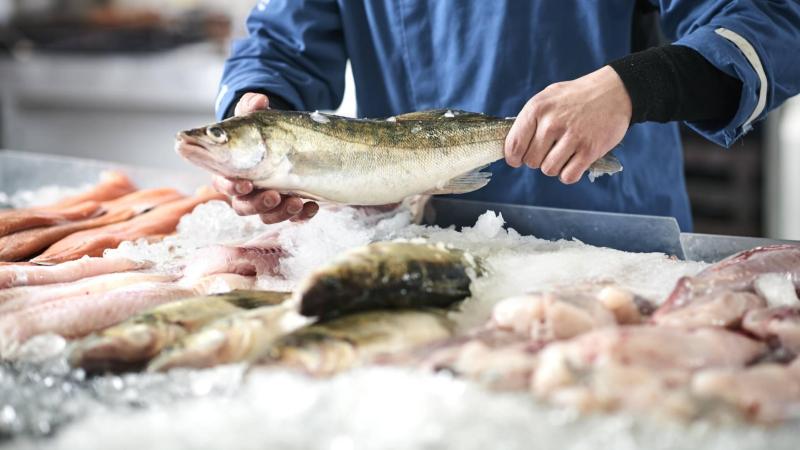 Рыбный промысел: государственная стратегия и севастопольская действительность