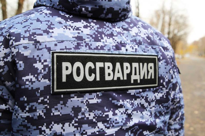 В Саранске росгвардейцы задержали жительницу Темниковского района по подозрению в хищении