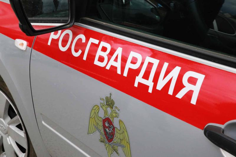 В Мордовии росгвардейцы задержали гражданку по подозрению в хищении