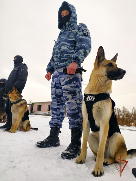 На Южном Урале сотрудники Росгвардии обеспечивают охрану общественного порядка новогодних мероприятий