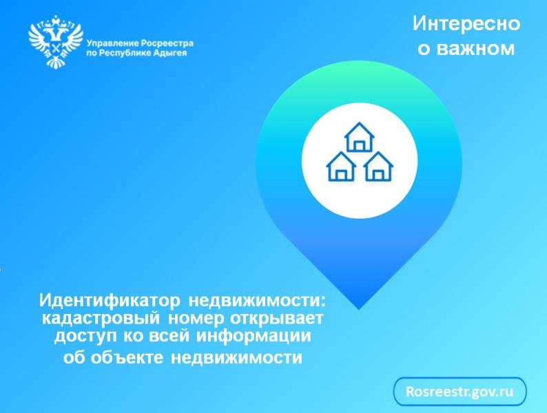 Идентификатор недвижимости: кадастровый номер открывает доступ ко всей информации об объекте недвижимости