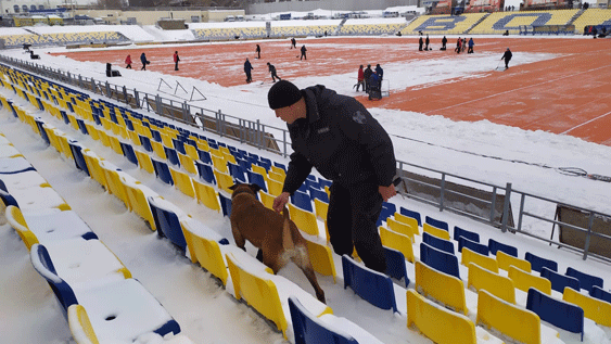 Ульяновские сотрудники Росгвардии обеспечили безопасность на футбольном матче «Волга» - «Зенит»