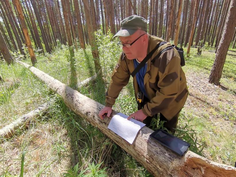 Смоленские лесопатологи выявили факторы, негативно влияющие на состояние древостоев