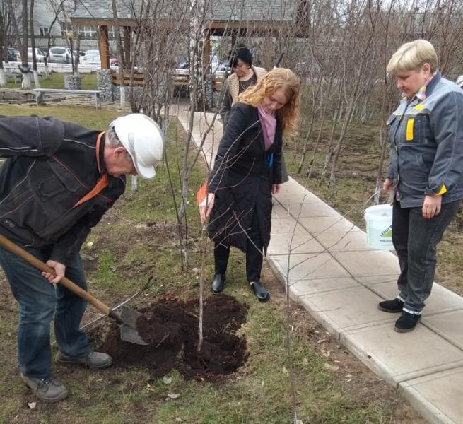 «Уралметаллургмонтаж» высаживает вишнёвый сад в Ижевске
