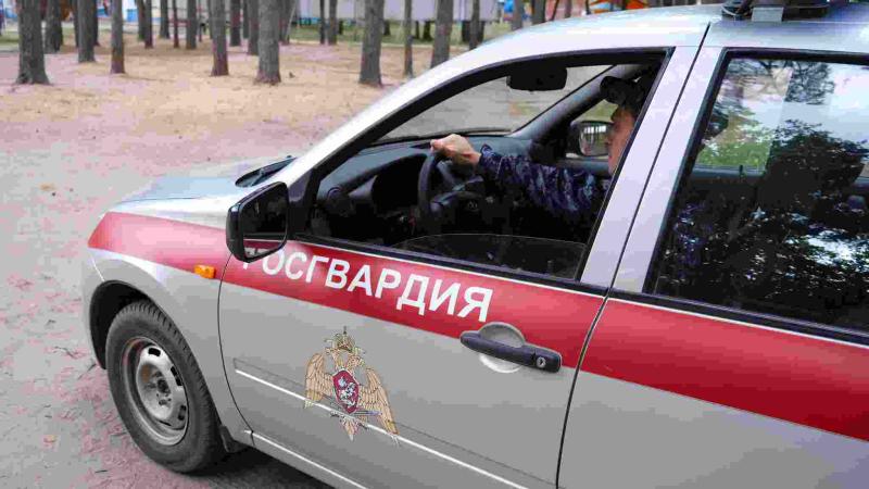 Росгвардейцы за неделю пресекли более 25 административных правонарушений в Тамбовской области