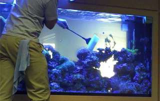 Обслуживание аквариумов в Мосфиш