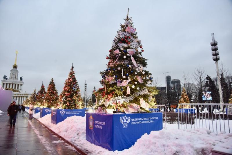 Офицер Росгвардии побеседовала с орловскими школьниками на новогодней елке в Москве