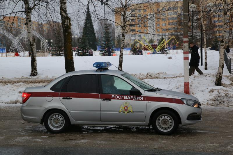 В столице Мордовии росгвардейцы задержали очередного правонарушителя