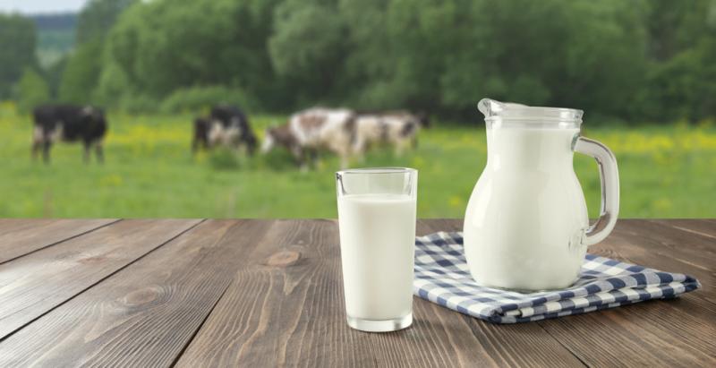 РСХБ: внедрение «генетического лифта» может повысить продуктивность молочной отрасли почти в 1,5 раза