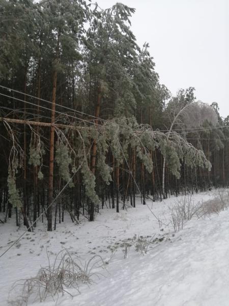 Энергетики «Орелэнерго» восстанавливают нарушенное непогодой электроснабжение части потребителей Орловской области