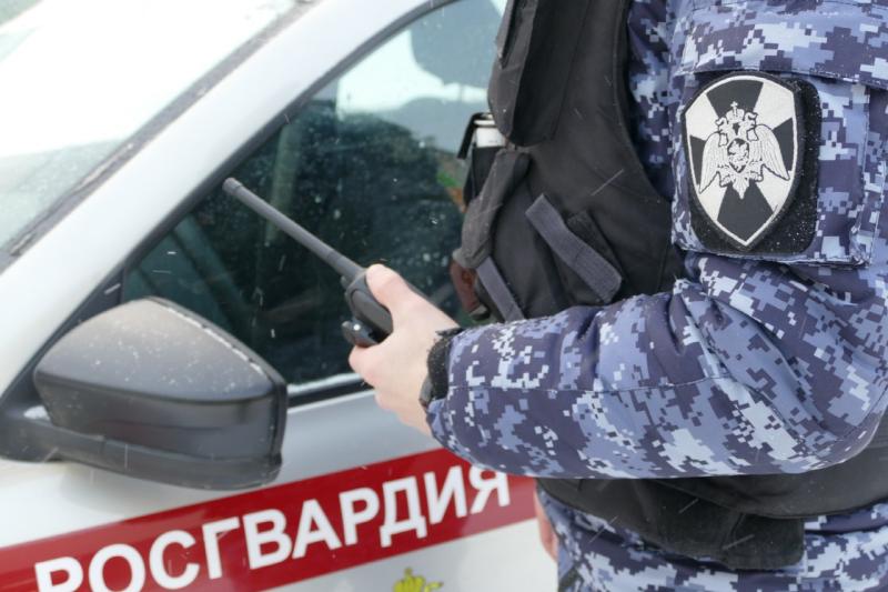 Сотрудники Домодедовского ОВО задержали гражданина, который совершил кражу товаров из магазина, в котором работал.
