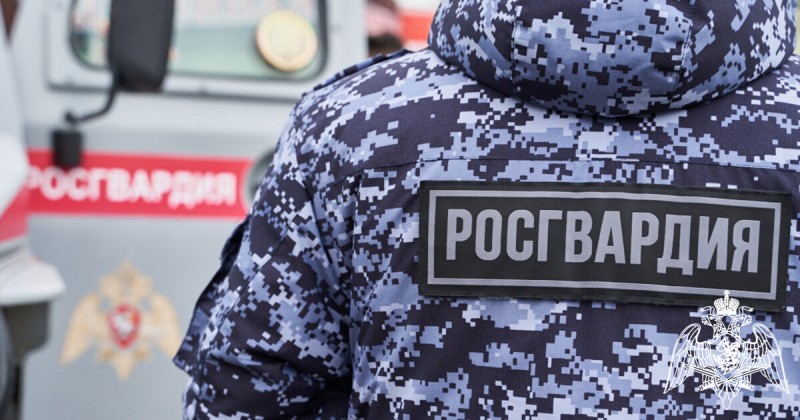 В Ярославской области росгвардейцы задержали подозреваемого в краже