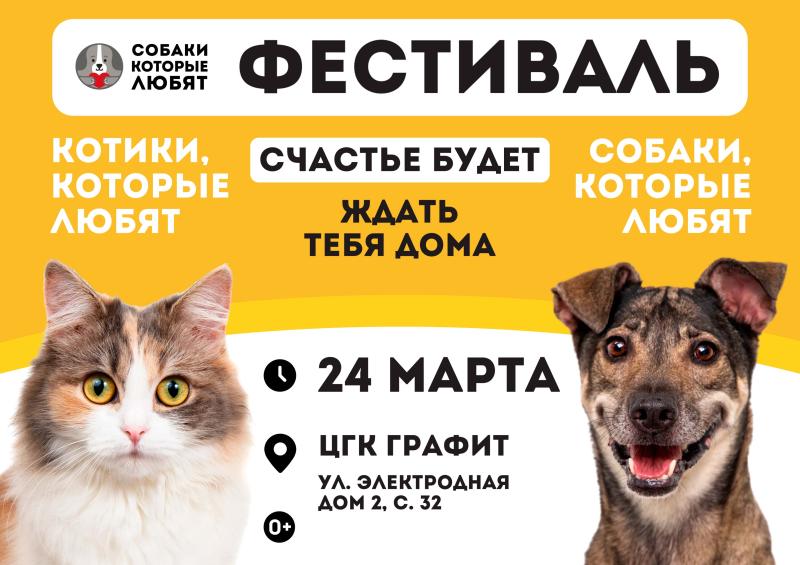 Забирайте счастье в дом на фестивале “Собаки, которые любят ...и котики!”