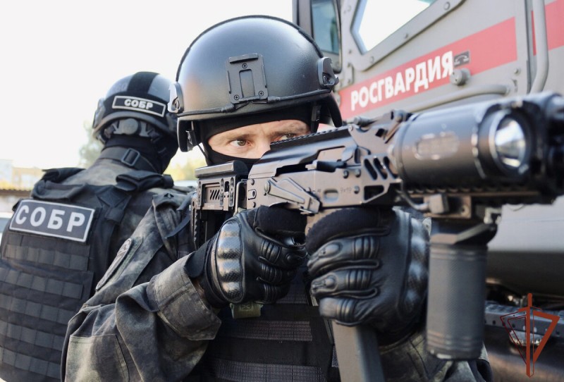 Спецназ Росгвардии пресек деятельность нелегального игорного заведения в Ярославле