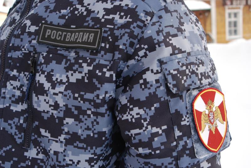 В Кирове сотрудники вневедомственной охраны Росгвардии задержали двух подозреваемых в краже спиртного