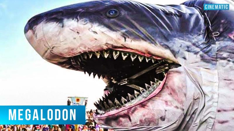 THE BIGGEST SHARK in the world MEGALODON! It is hard to believe…
