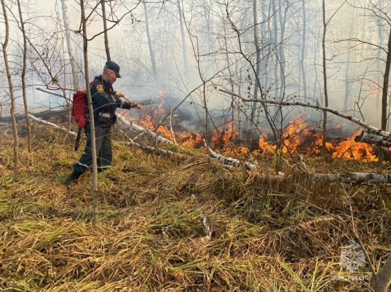 460 пожаров за неделю произошло в Новосибирской области