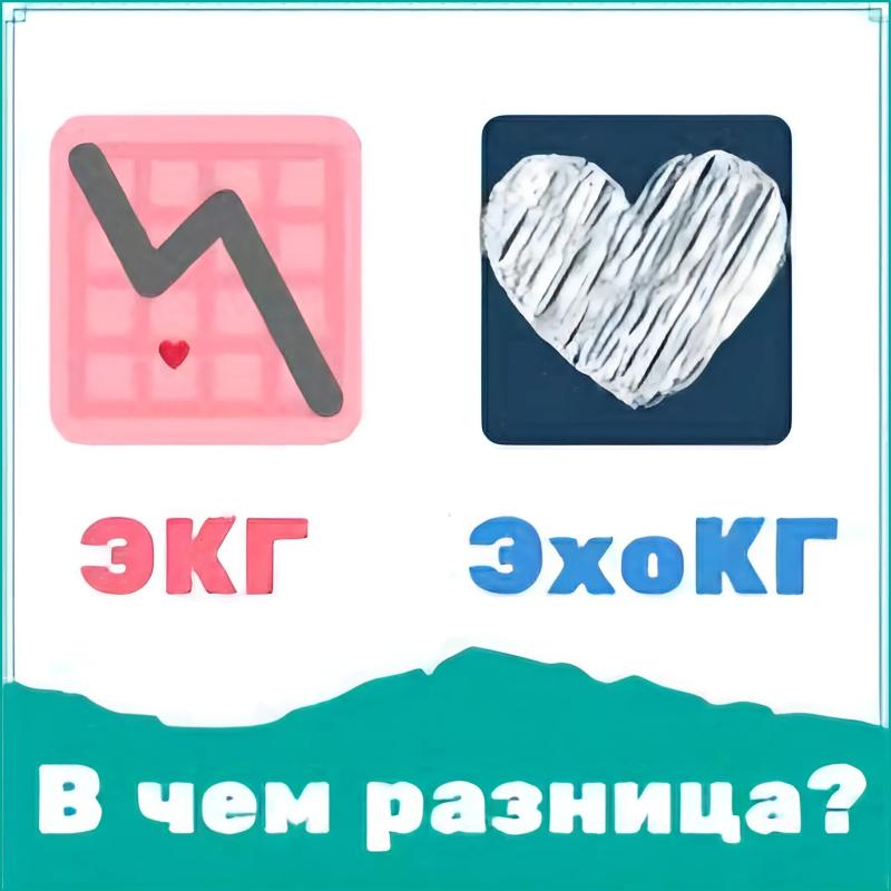 ЭКГ или ЭхоКГ? В чем отличие?