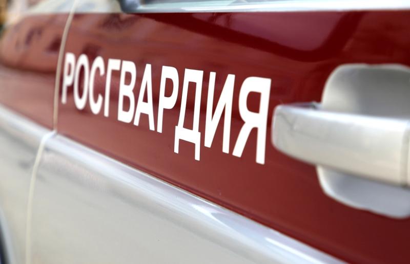 В Рузаевке росгвардейцы выявили и задержали нетрезвого водителя