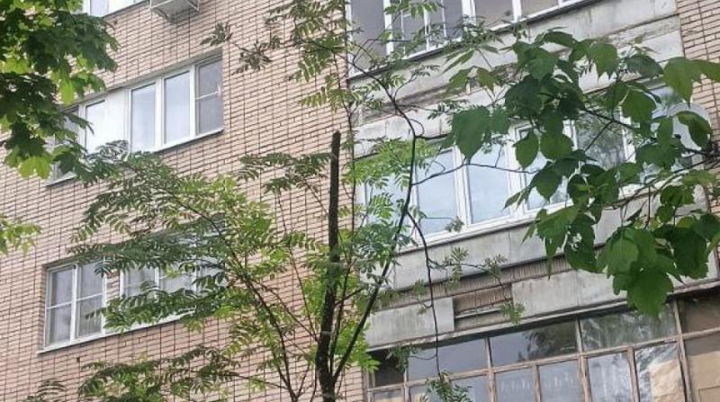 Кирилл Кудряшов исполнил наказ избирателей по обрезке деревьев