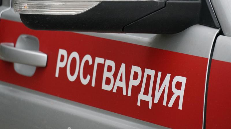Кировские росгвардейцы задержали гражданина, находящегося в розыске за серию краж из магазинов