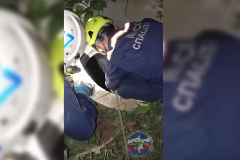 Новосибирские спасатели вытащили пса из колодца на улице Виктора Уса
