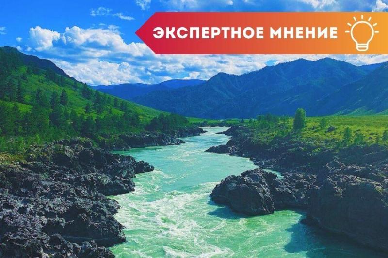 В 75 субъектах России начались лесовосстановительные мероприятия