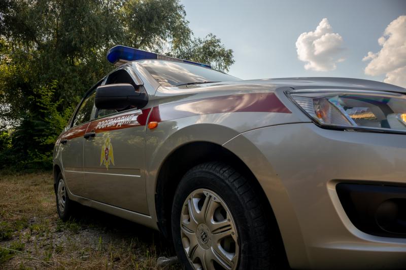 Росгвардейцы пресекли опасную поездку нетрезвого водителя в Армавире