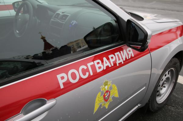 В Мордовии росгвардейцы задержали гражданку по подозрению в угрозе убийством