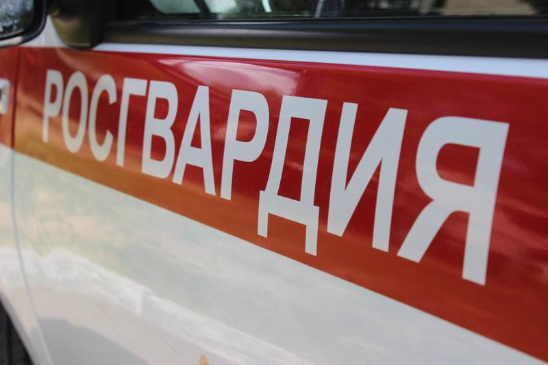 В Челябинске росгвардейцы задержали подозреваемую в краже продуктов питания из торгового центра